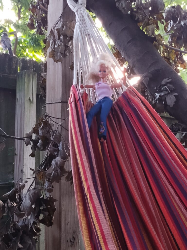 Backyard hammock